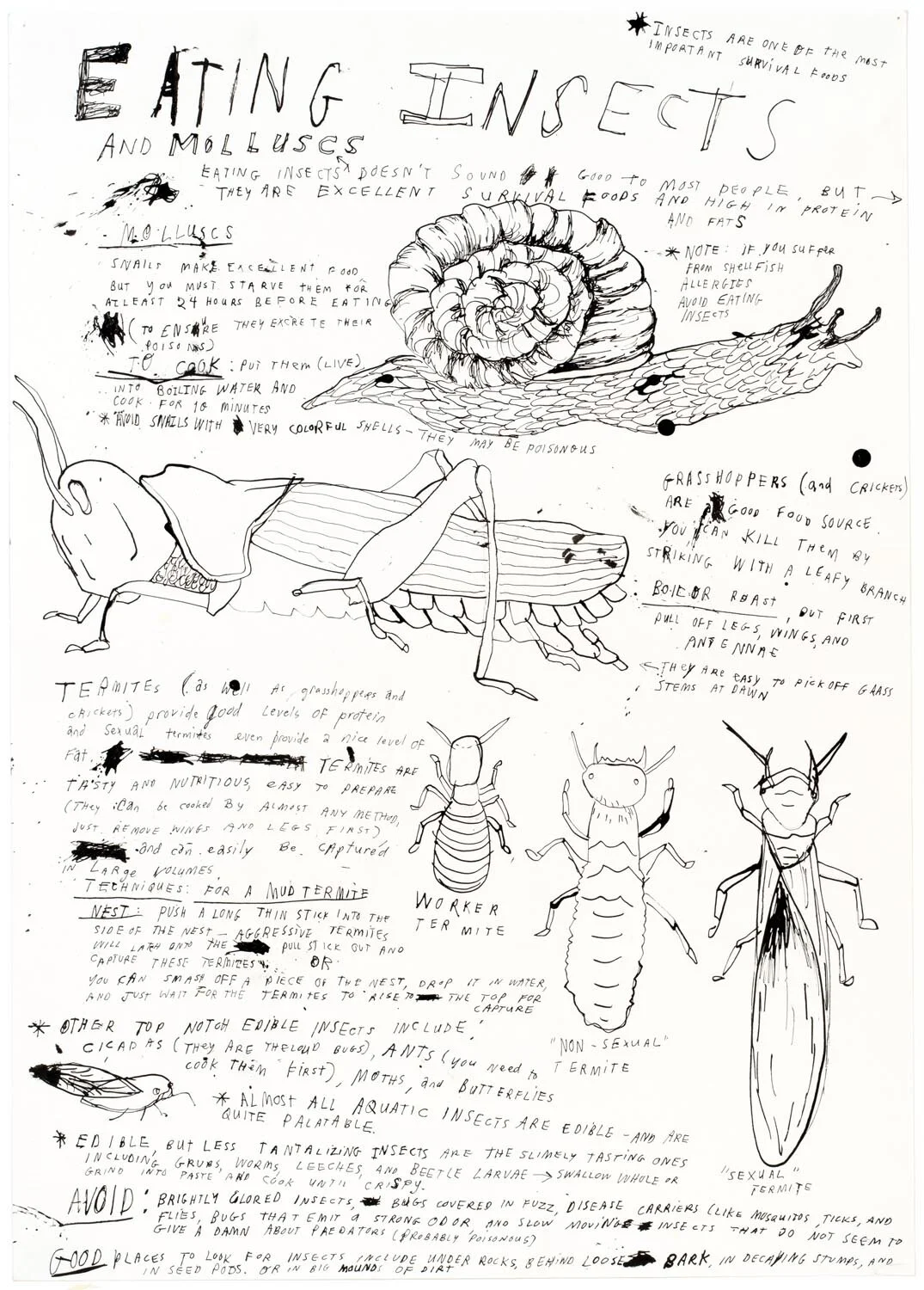 Essential Knowledge 2016–2018 — image 23