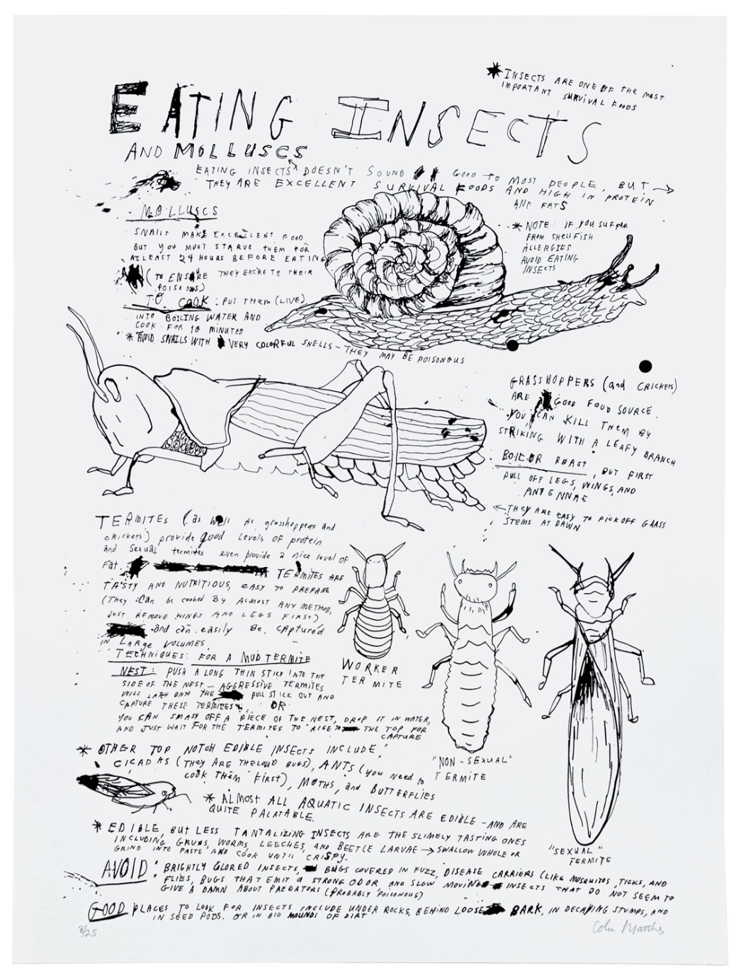 Essential Knowledge Print Portfolio — image 11