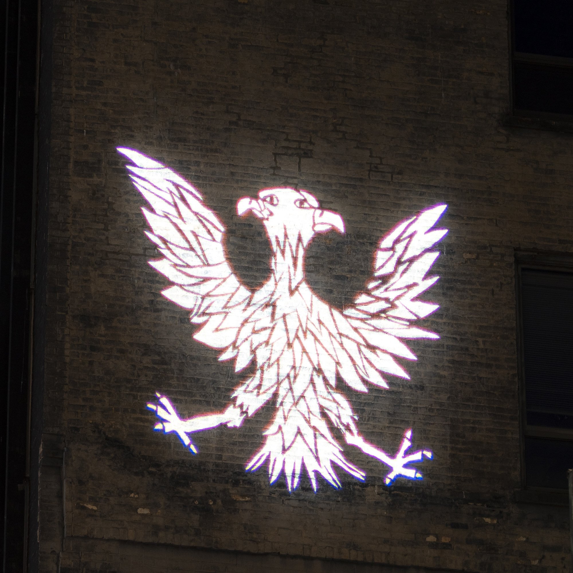 Free Bird — image 19