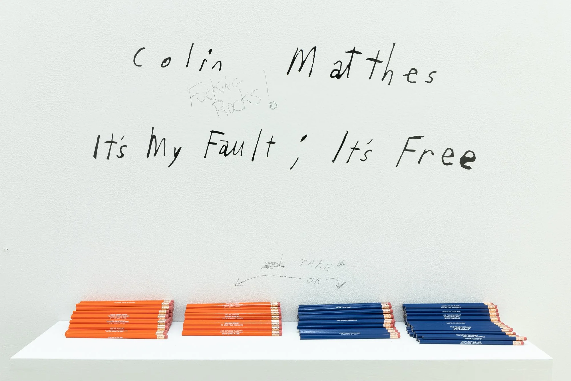 It's My Fault; It's Free — image 14