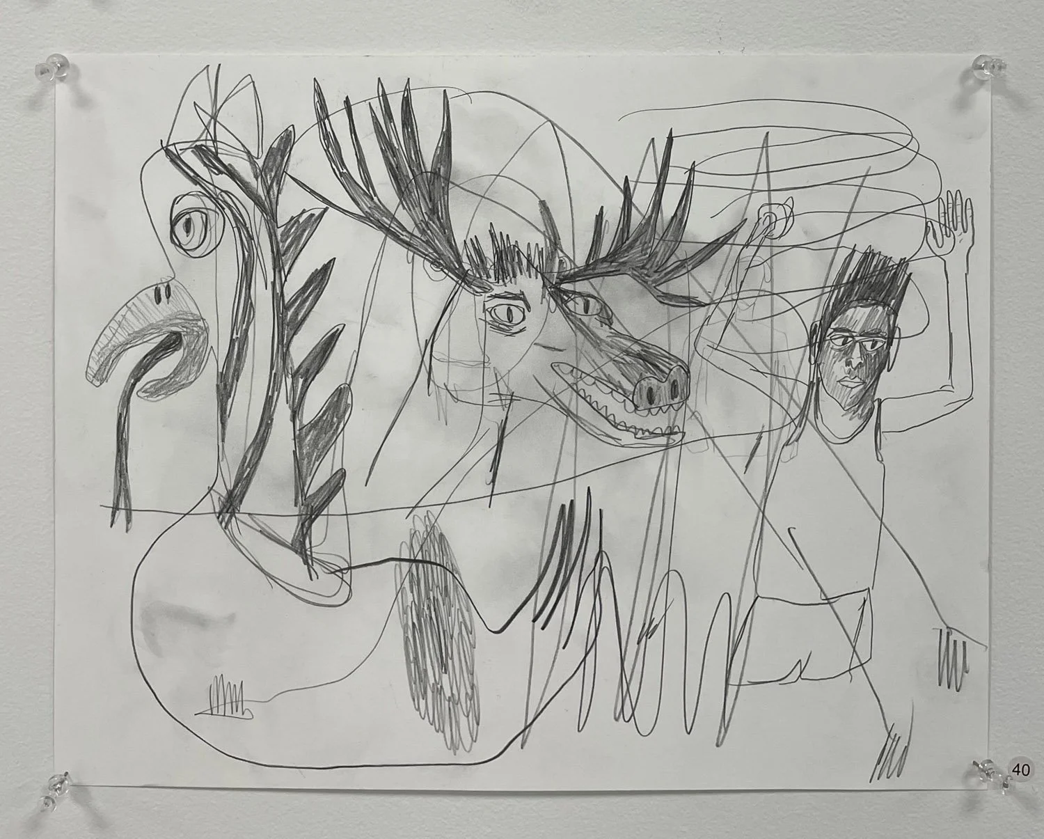 The days go by like wildness — pencil drawings — image 29