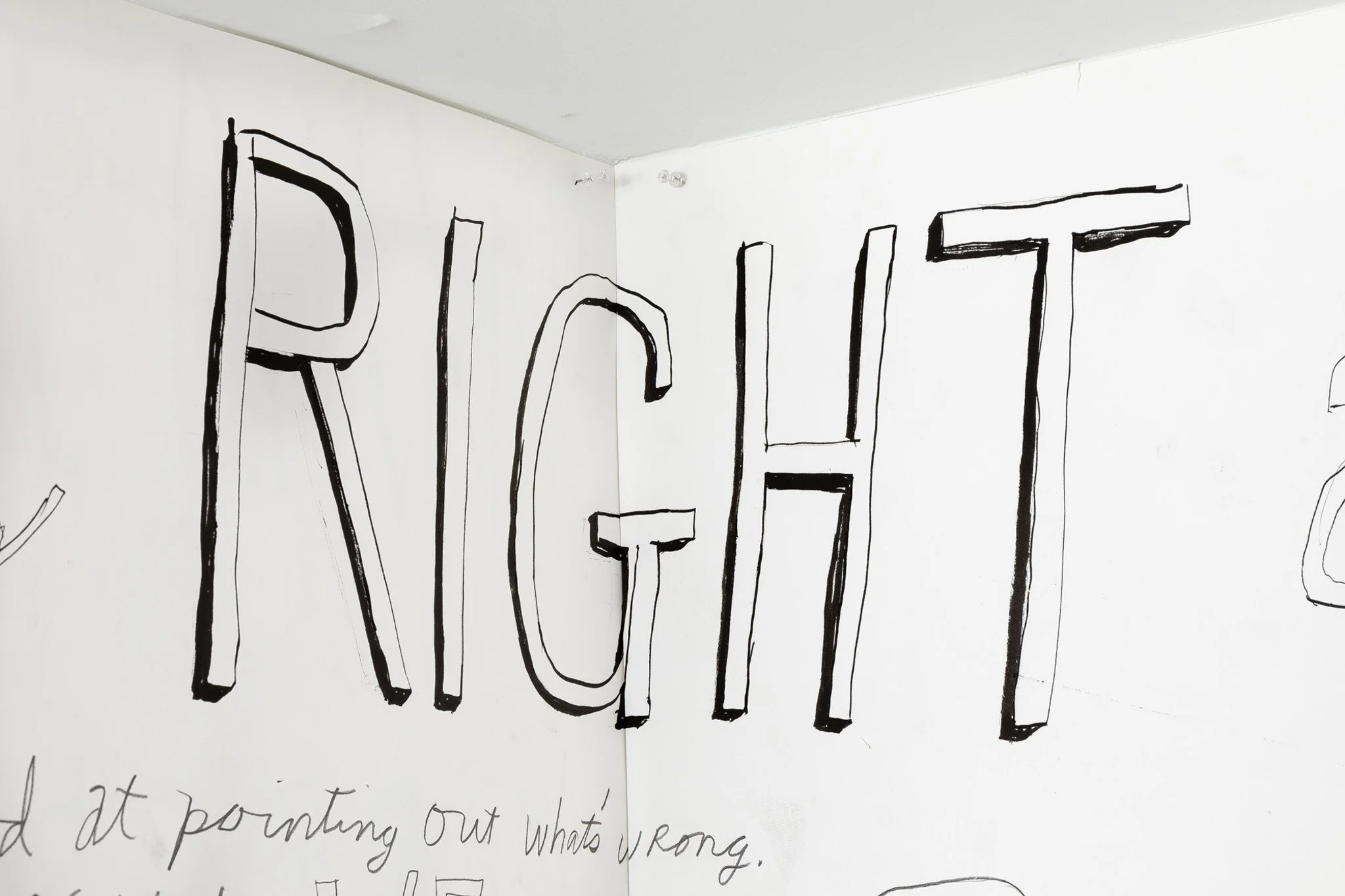 What is Right about the Right? — image 26